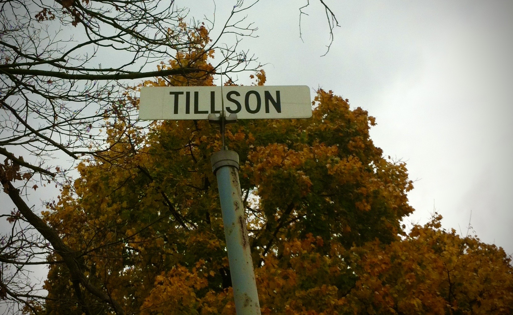 Tillson Street